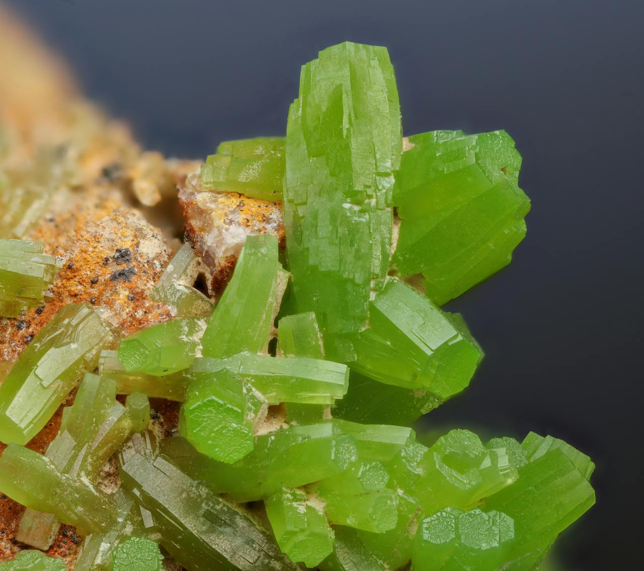 The Art of Drawing Readers In: Your attractive post title goes here Detailed view of bright green pyromorphite crystals showcasing intricate formations.